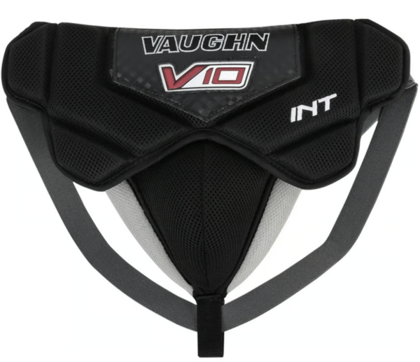 Vaughn susp v10 int.