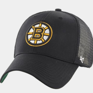 NHL cap Boston Bruins