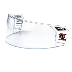 Visir vision 17 M105 pro antifog